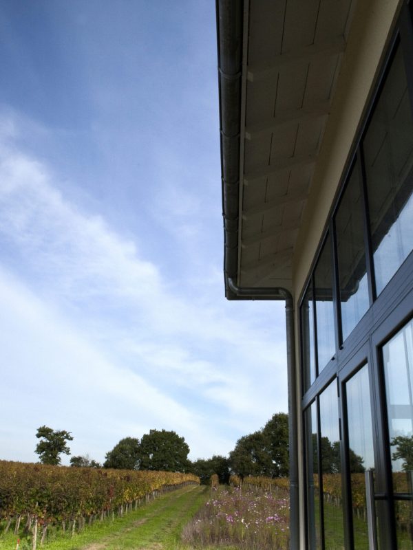 Glass veranda surrounded by vineyards near Bordeaux